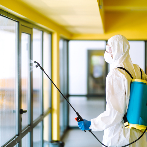 pest control services